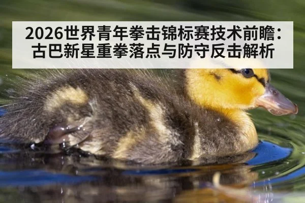 2026世界青年拳击锦标赛技术前瞻：古巴新星重拳落点与防守反击解析