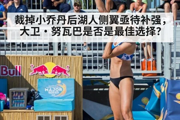 裁掉小乔丹后湖人侧翼亟待补强，大卫·努瓦巴是否是最佳选择？