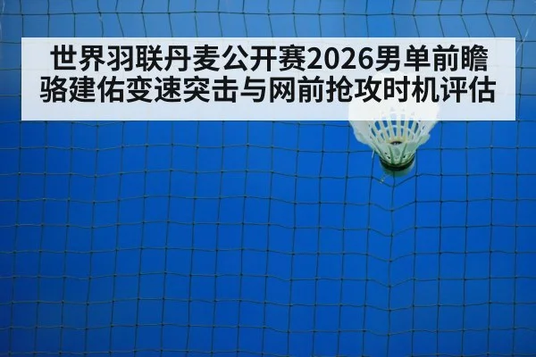 badminton net shot