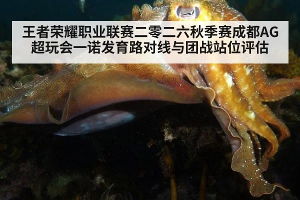 王者荣耀职业联赛二零二六秋季赛成都AG超玩会一诺发育路对线与团战站位评估